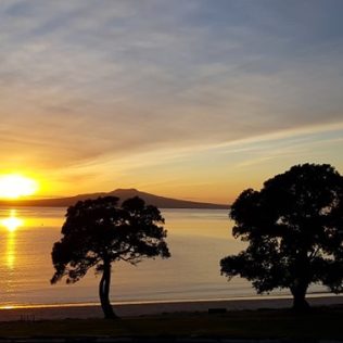 6 Best Things To Do Around Takapuna