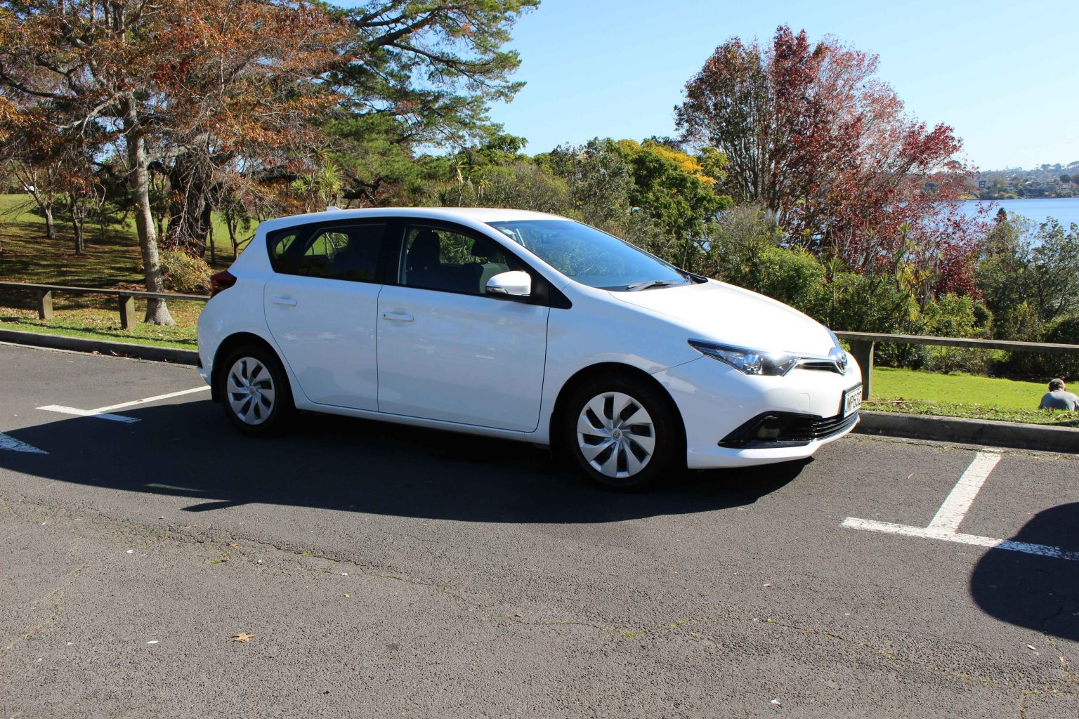 How to Rent a Car in Auckland Shore Rentals