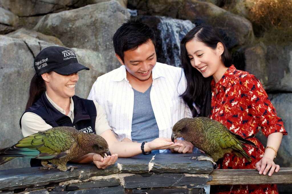 Auckland Zoo, Auckland, New Zealand.  Photo Credit: Chris McLennan