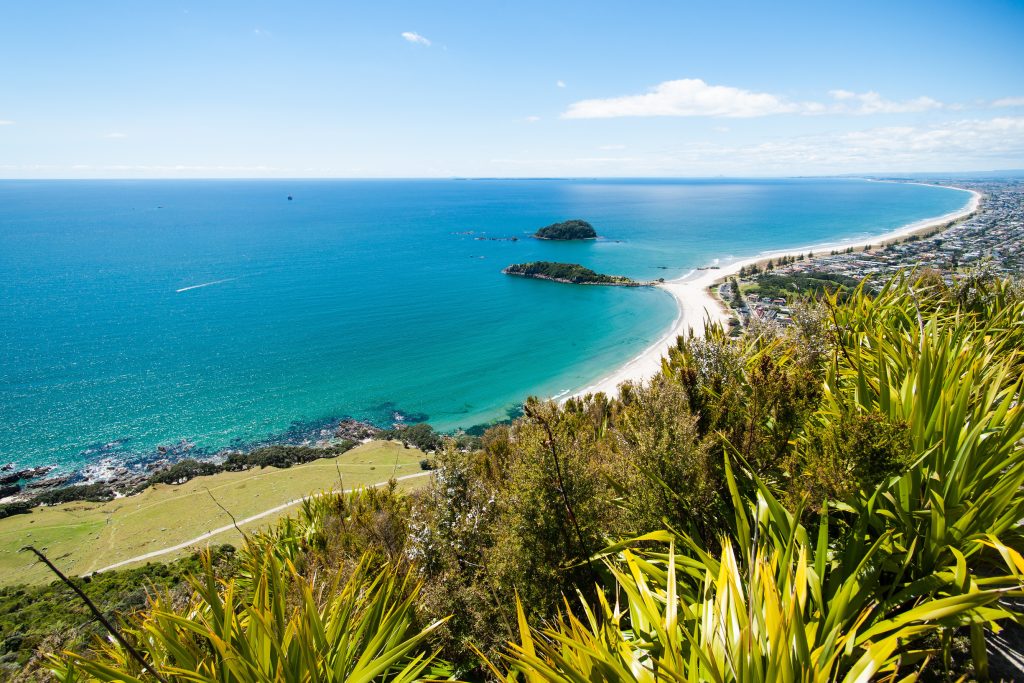 View from the summit of Mauao, Mount Maunganui