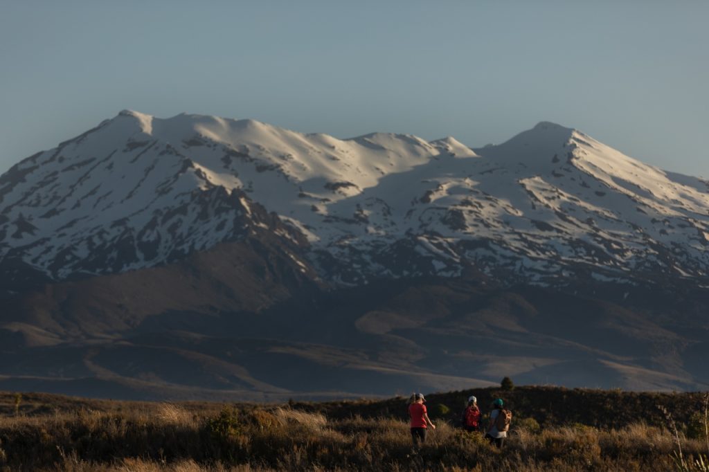 people hiking with mount ruapehu in background