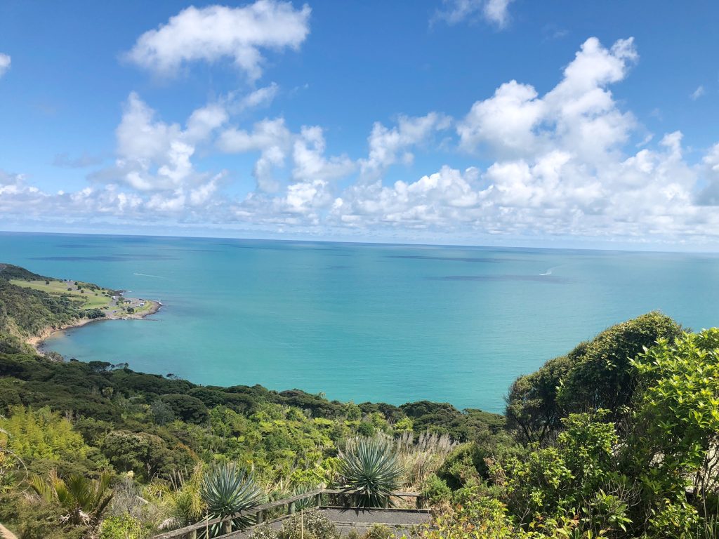 View in Raglan over forest and tasman sea