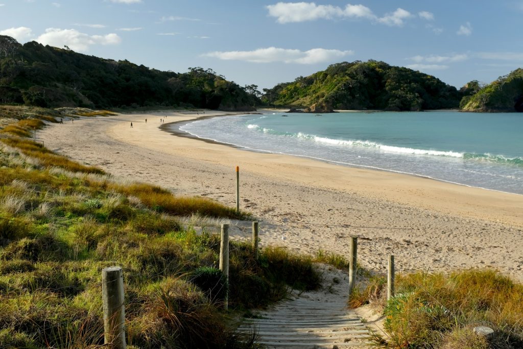 Matapouri Bay, Northland. Photo credit: David Tip
