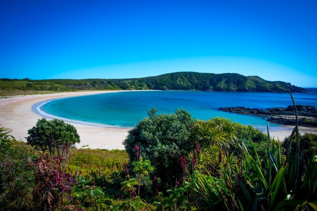 Maitai Bay, Northland. Photo credit: David Kirkland