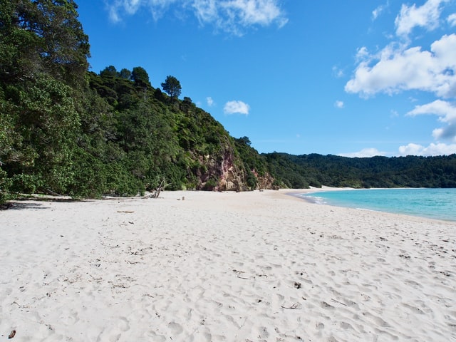 New Chum Beach/Wainuiototo, Coromandel