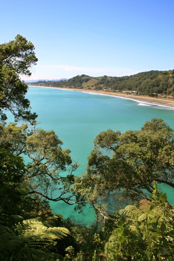 Ohope beach, bay of plenty, photo credit: nicola dobson
