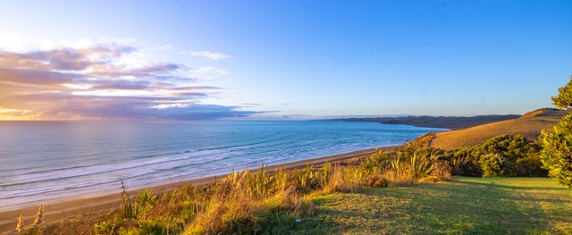 Ngarunui Beach in Raglan.