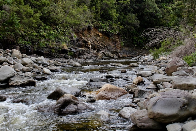 karangahake gorge