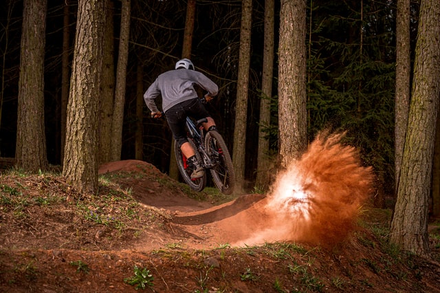 Mountain biker in forest