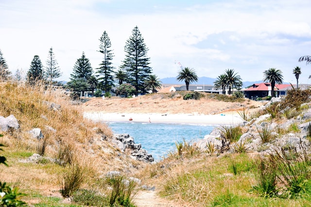 view from moturiki island