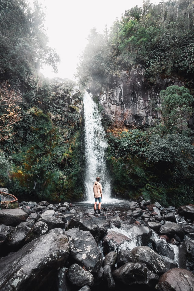 boy standing in front of dawson falls waterfall in egmont national park