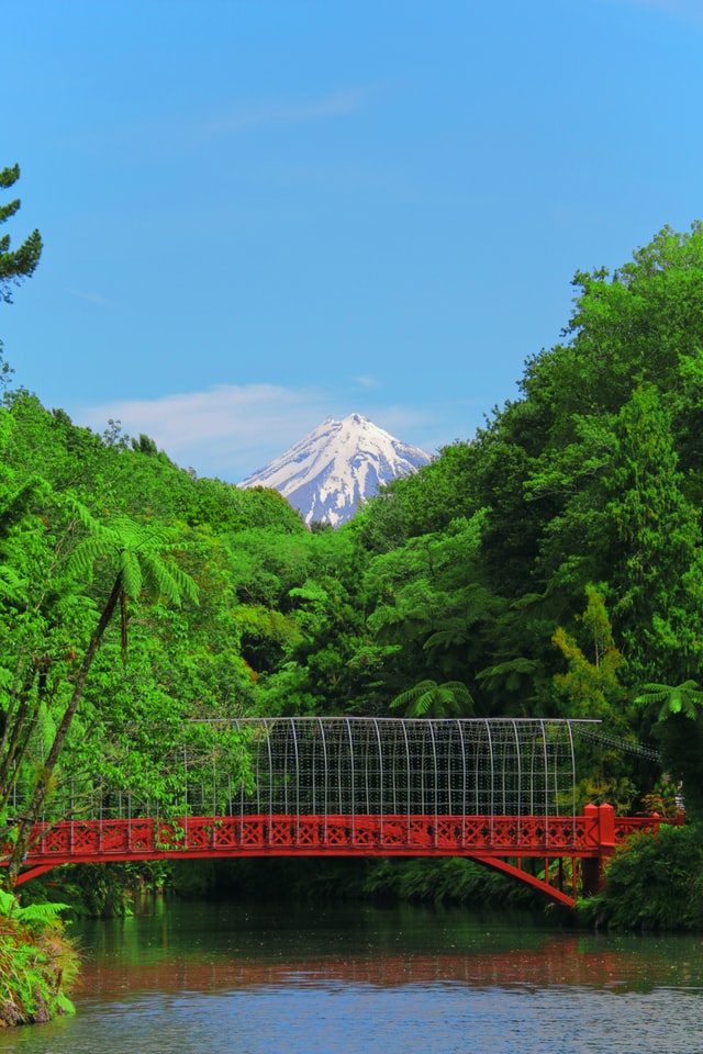 red bridge over lake, surrounded in trees with mt taranaki in background