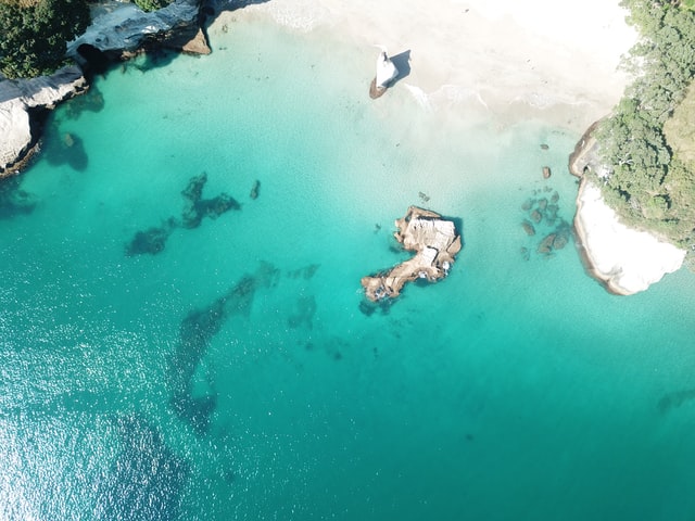 aerial view of cathedral cove beach in coromandel