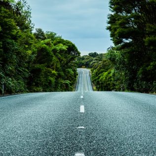 road between green trees