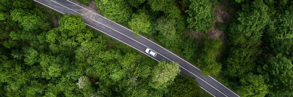 car on road driving through forrest