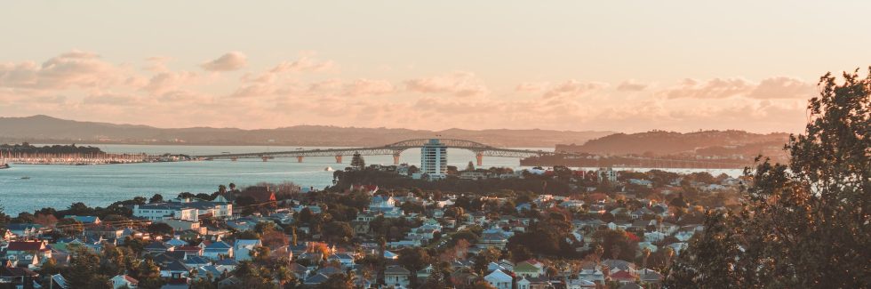 aerial view of buildings in auckland