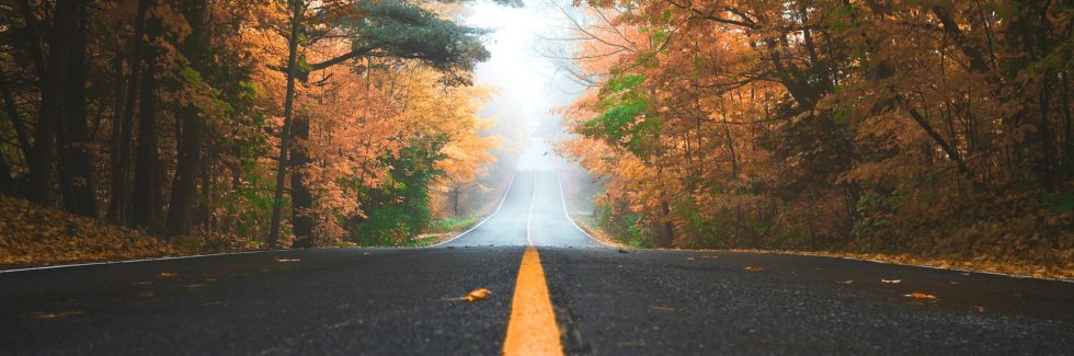 road with autumn leaves